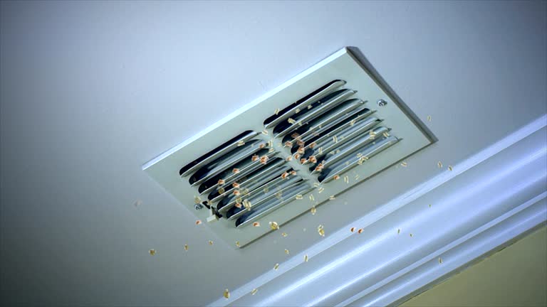 Best Local Air Duct Cleaning Services  in Sergeant Bluff, IA